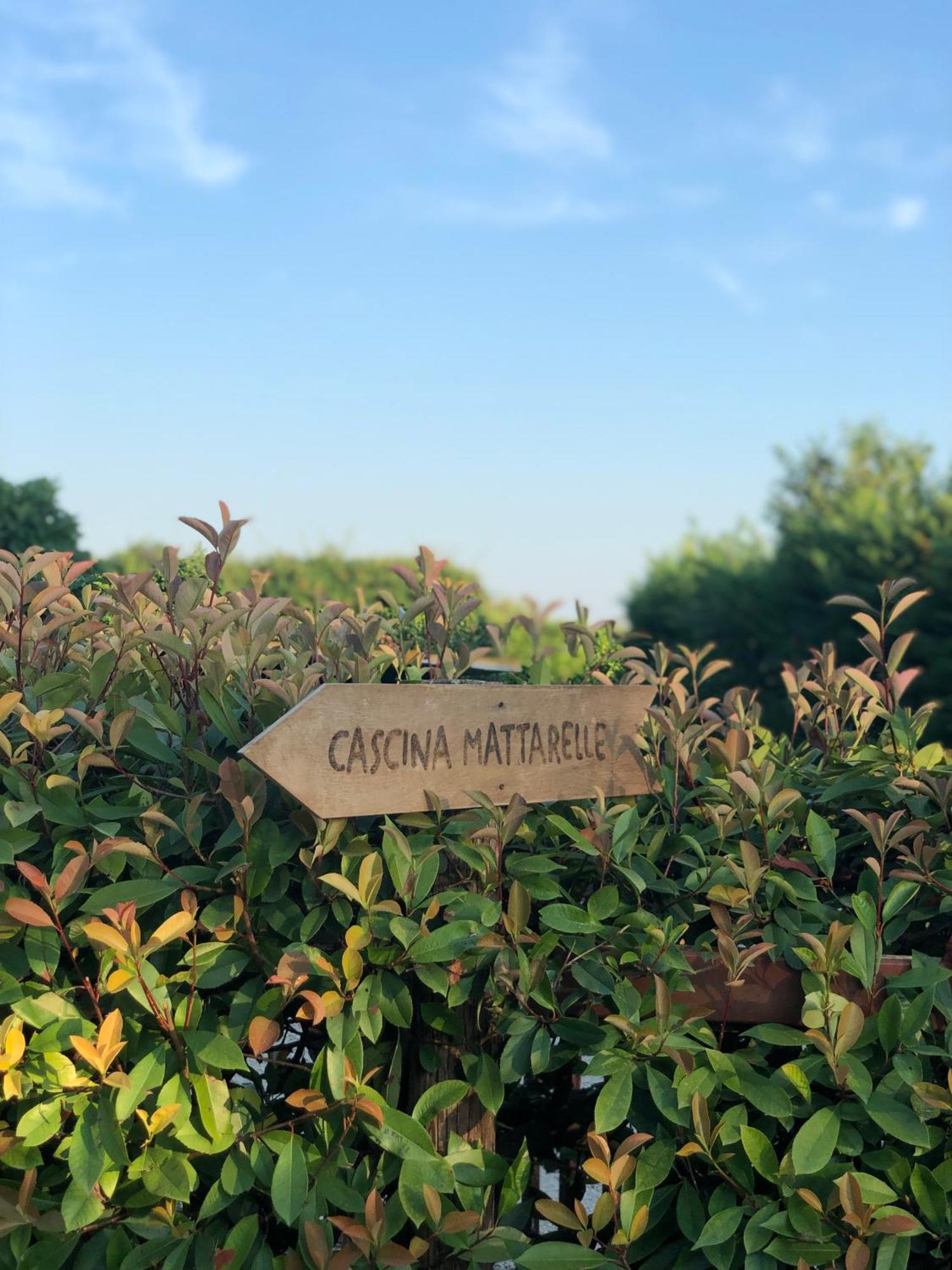 B&B Cascina Mattarelle Monzambano Kültér fotó