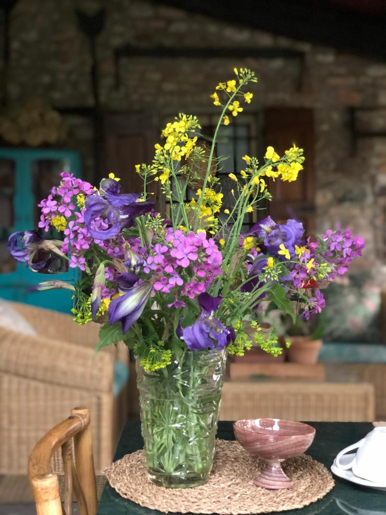 B&B Cascina Mattarelle Monzambano Kültér fotó