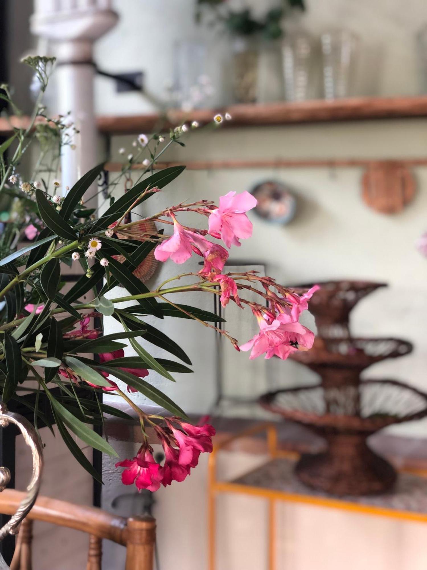 B&B Cascina Mattarelle Monzambano Kültér fotó