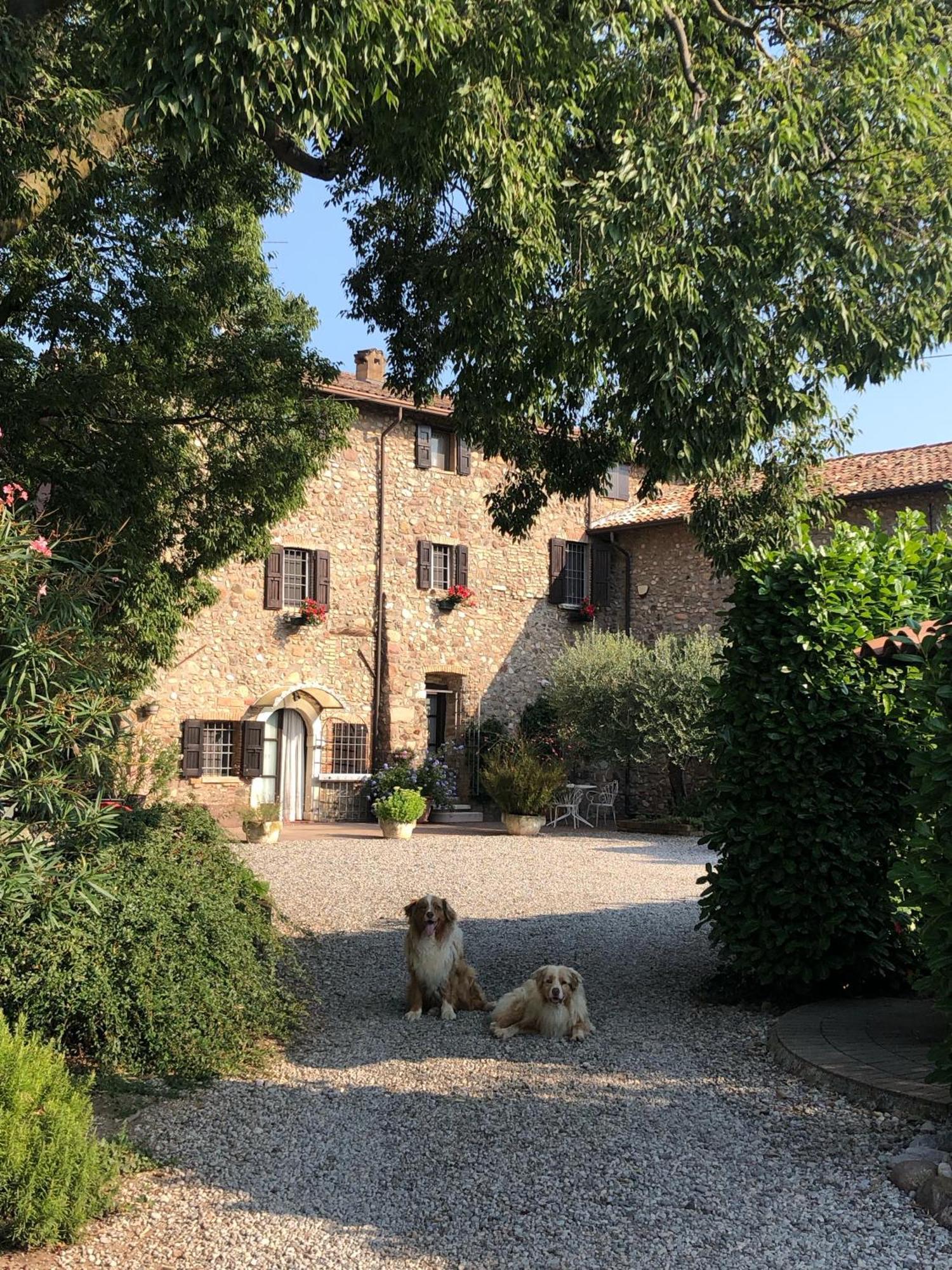 B&B Cascina Mattarelle Monzambano Kültér fotó